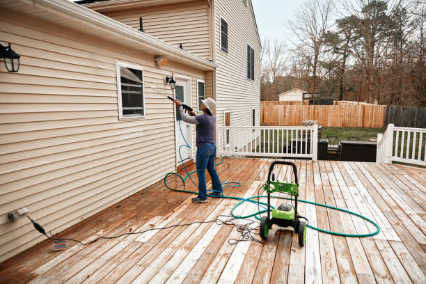 Best Local Pressure Washing Services  in Ladonia, AL