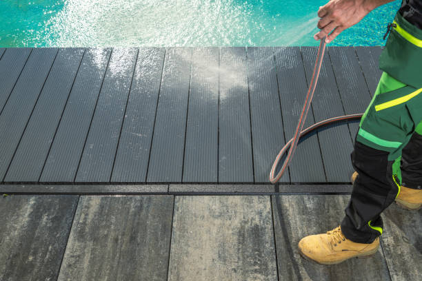 Best Affordable Pressure Washing  in Ladonia, AL