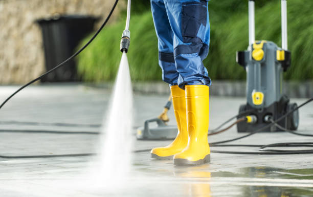 Best Roof Power Washing Services  in Ladonia, AL